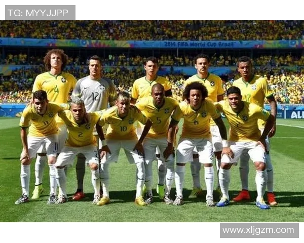 巴西与奥地利比赛结果揭晓进球情况如何分析