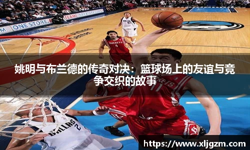 乐鱼网站